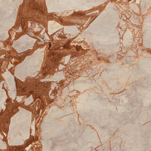 Gardenia Orchidea La Marmoteca Dreaming Rose